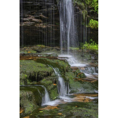 Pennsylvania Waterfall in Ricketts Glen SP Black Modern Wood Framed Art Print by OBrien, Jay