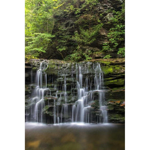 Pennsylvania Waterfall in Ricketts Glen SP White Modern Wood Framed Art Print by OBrien, Jay