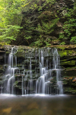 Pennsylvania Waterfall in Ricketts Glen SP White Modern Wood Framed Art Print with Double Matting by OBrien, Jay