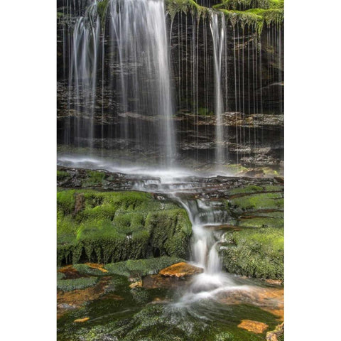 Pennsylvania Waterfall in Ricketts Glen SP Black Modern Wood Framed Art Print by OBrien, Jay