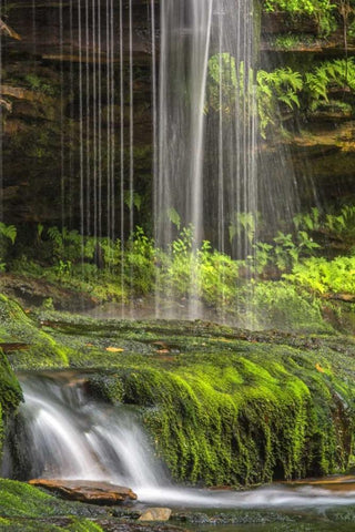 Pennsylvania Waterfall in Ricketts Glen SP Black Ornate Wood Framed Art Print with Double Matting by OBrien, Jay