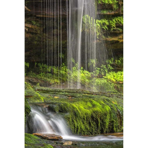 Pennsylvania Waterfall in Ricketts Glen SP Black Modern Wood Framed Art Print by OBrien, Jay