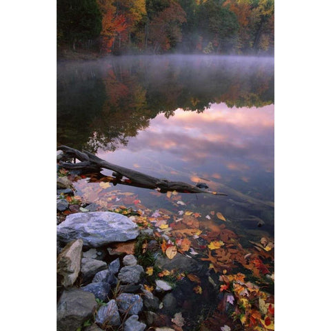 PA, Pocono Mountains Autumn sunrise on lake Black Modern Wood Framed Art Print with Double Matting by Bush, Marie
