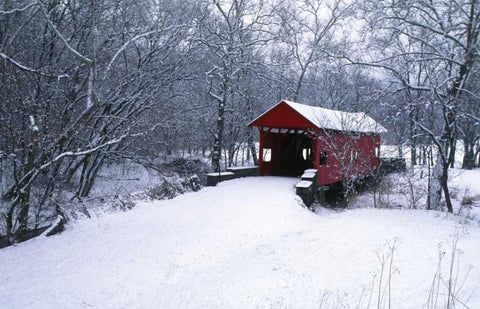 PA, Mariana Co, Hughes Covered Bridge in winter White Modern Wood Framed Art Print with Double Matting by Rotenberg, Nancy