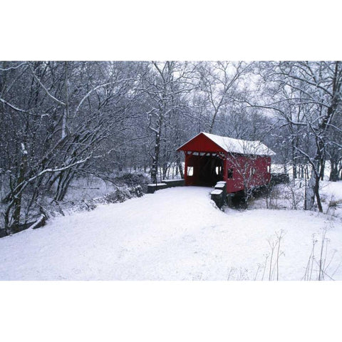 PA, Mariana Co, Hughes Covered Bridge in winter Black Modern Wood Framed Art Print by Rotenberg, Nancy