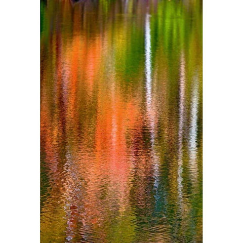 PA, Delaware Watergap Autumn reflect on water Black Modern Wood Framed Art Print by OBrien, Jay
