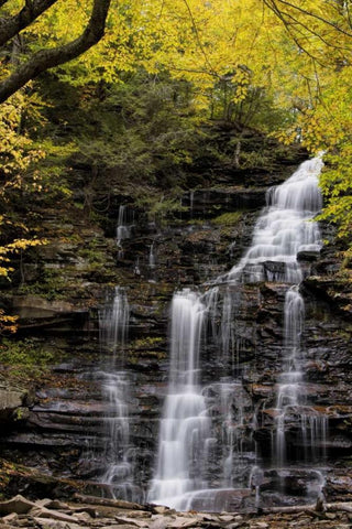 Pennsylvania Waterfall in Ricketts Glen SP Black Ornate Wood Framed Art Print with Double Matting by OBrien, Jay