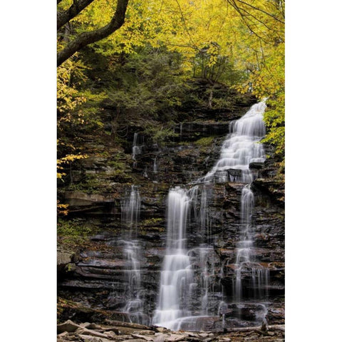 Pennsylvania Waterfall in Ricketts Glen SP Black Modern Wood Framed Art Print by OBrien, Jay