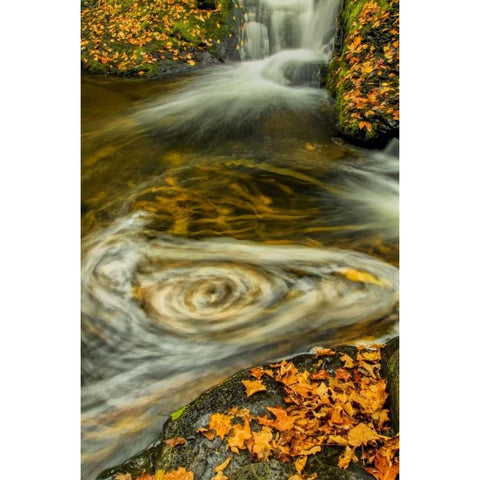 PA, Delaware, Water gap NRA Waterfall and pool Black Modern Wood Framed Art Print by OBrien, Jay