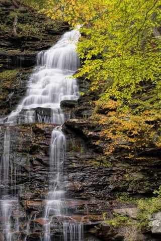 Pennsylvania Waterfall in Ricketts Glen SP White Modern Wood Framed Art Print with Double Matting by OBrien, Jay