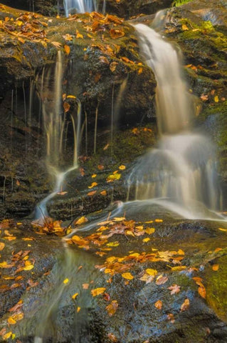 PA, Delaware Water gap NRA Waterfall over rocks Black Ornate Wood Framed Art Print with Double Matting by OBrien, Jay
