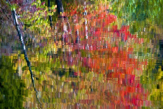 Image Only