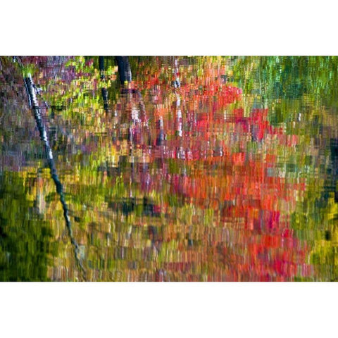 PA, Delaware, Water gap NRA Autumn reflection Black Modern Wood Framed Art Print by OBrien, Jay