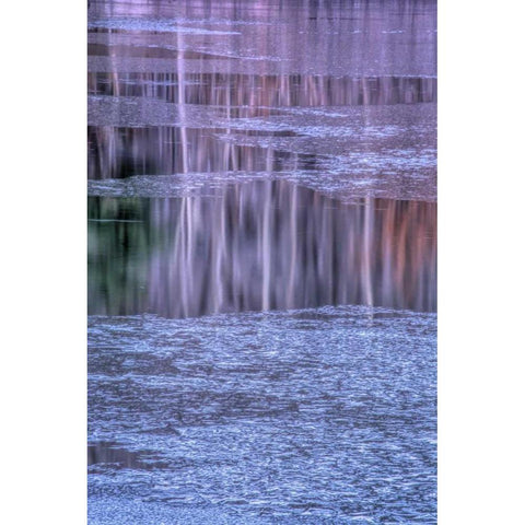 PA, Delaware Water gap NRA Tree reflection Black Modern Wood Framed Art Print by OBrien, Jay