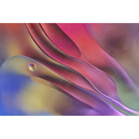 USA, Pennsylvania, Erie Oil abstract Black Modern Wood Framed Art Print with Double Matting by Anon, Ellen