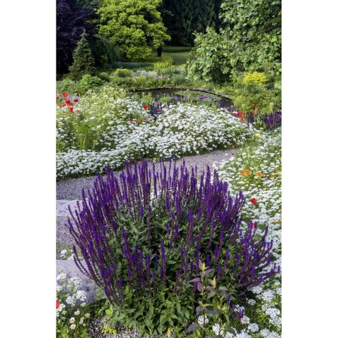 USA, Pennsylvania Summer flowers Gold Ornate Wood Framed Art Print with Double Matting by OBrien, Jay