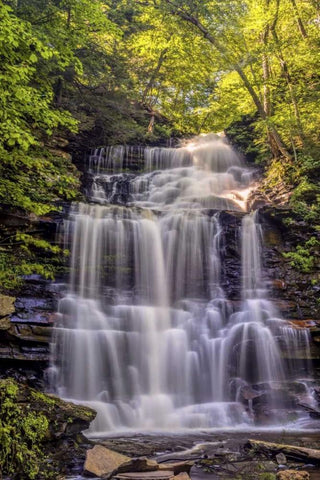 PA, Benton, Ricketts Glen SP Ganoga Falls Black Ornate Wood Framed Art Print with Double Matting by OBrien, Jay