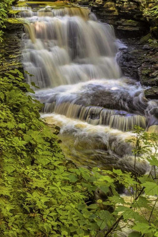 Pennsylvania, Ricketts Glen SP Delaware Falls White Modern Wood Framed Art Print with Double Matting by OBrien, Jay