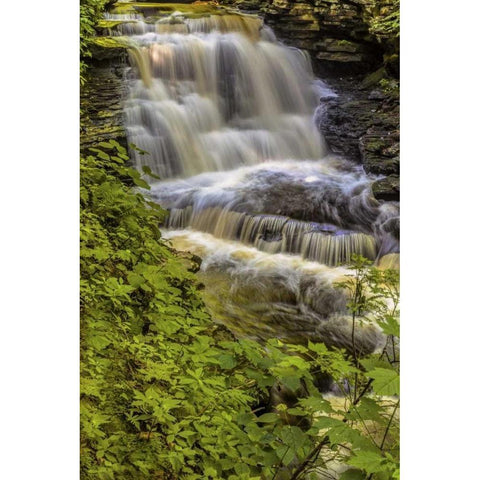 Pennsylvania, Ricketts Glen SP Delaware Falls Black Modern Wood Framed Art Print by OBrien, Jay