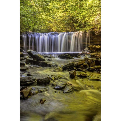 PA, Benton, Ricketts Glen SP Oneida Falls Gold Ornate Wood Framed Art Print with Double Matting by OBrien, Jay