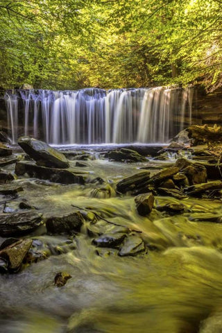 PA, Benton, Ricketts Glen SP Oneida Falls Black Ornate Wood Framed Art Print with Double Matting by OBrien, Jay