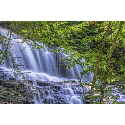 PA, Benton, Ricketts Glen SP Mohawk Falls Black Modern Wood Framed Art Print with Double Matting by OBrien, Jay