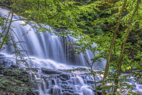 PA, Benton, Ricketts Glen SP Mohawk Falls Black Ornate Wood Framed Art Print with Double Matting by OBrien, Jay