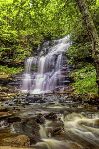Pennsylvania, Ricketts Glen SP Mohican Falls White Modern Wood Framed Art Print with Double Matting by OBrien, Jay