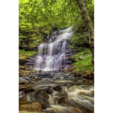 Pennsylvania, Ricketts Glen SP Mohican Falls Black Modern Wood Framed Art Print by OBrien, Jay