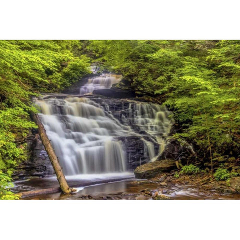 Pennsylvania, Ricketts Glen SP Mohican Falls Gold Ornate Wood Framed Art Print with Double Matting by OBrien, Jay