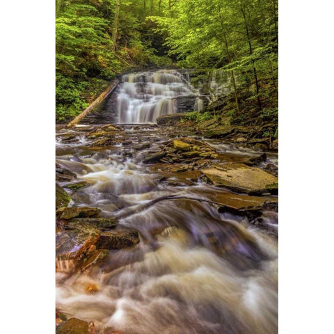 Pennsylvania, Ricketts Glen SP Mohican Falls Gold Ornate Wood Framed Art Print with Double Matting by OBrien, Jay