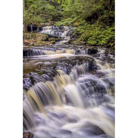 Pennsylvania, Ricketts Glen SP Delaware Falls White Modern Wood Framed Art Print by OBrien, Jay