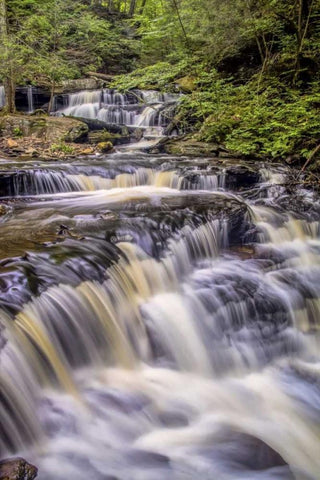 Pennsylvania, Ricketts Glen SP Delaware Falls Black Ornate Wood Framed Art Print with Double Matting by OBrien, Jay