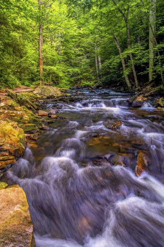 Pennsylvania, Ricketts Glen SP Kitchen Creek White Modern Wood Framed Art Print with Double Matting by OBrien, Jay