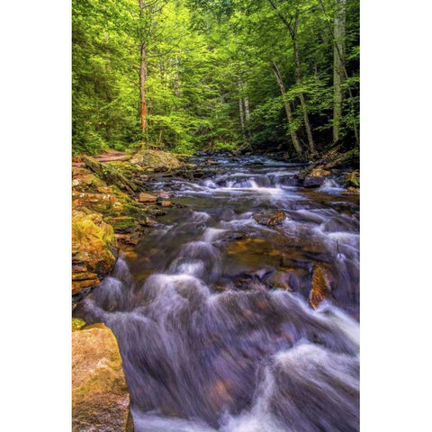 Pennsylvania, Ricketts Glen SP Kitchen Creek Black Modern Wood Framed Art Print by OBrien, Jay
