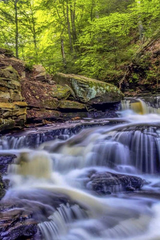 PA, Benton, Ricketts Glen SP Seneca Falls Black Ornate Wood Framed Art Print with Double Matting by OBrien, Jay
