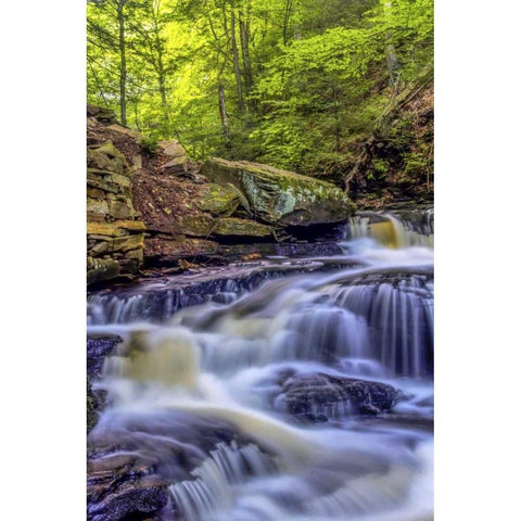 PA, Benton, Ricketts Glen SP Seneca Falls White Modern Wood Framed Art Print by OBrien, Jay