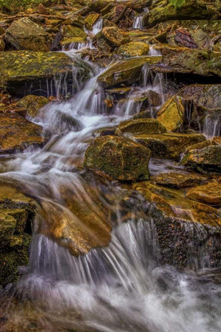 Pennsylvania, Ricketts Glen SP Kitchen Creek White Modern Wood Framed Art Print with Double Matting by OBrien, Jay