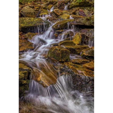 Pennsylvania, Ricketts Glen SP Kitchen Creek Black Modern Wood Framed Art Print by OBrien, Jay