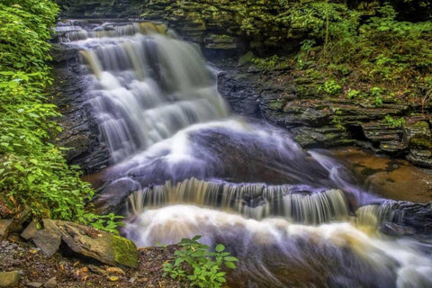 Pennsylvania, Ricketts Glen SP Delaware Falls White Modern Wood Framed Art Print with Double Matting by OBrien, Jay