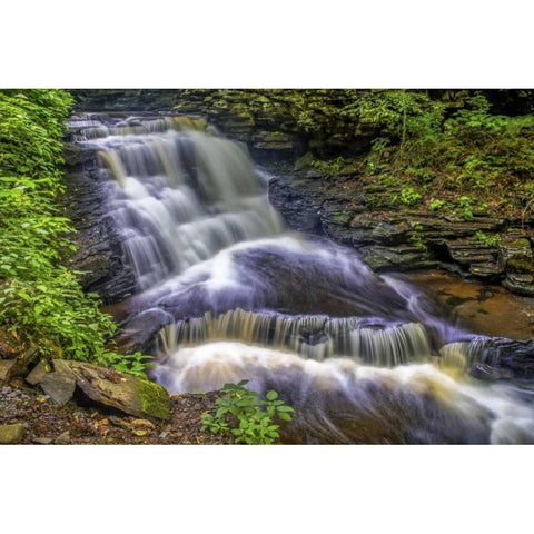Pennsylvania, Ricketts Glen SP Delaware Falls Black Modern Wood Framed Art Print by OBrien, Jay
