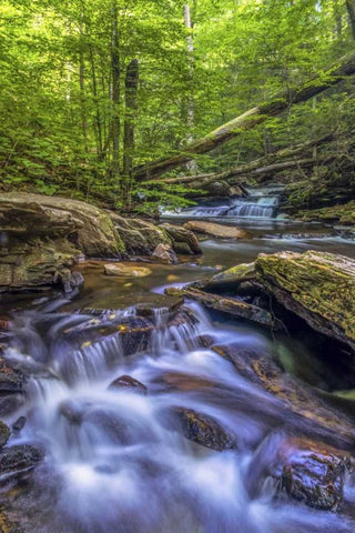 Pennsylvania, Ricketts Glen SP Kitchen Creek Black Ornate Wood Framed Art Print with Double Matting by OBrien, Jay
