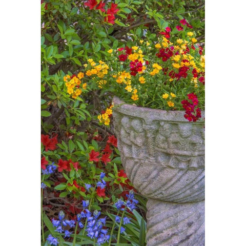 USA, Pennsylvania Flower scenic White Modern Wood Framed Art Print by OBrien, Jay