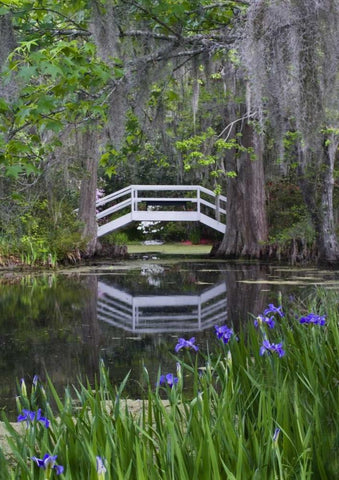 South Carolina, Wood footbridge reflects in pond Black Ornate Wood Framed Art Print with Double Matting by Rotenberg, Nancy