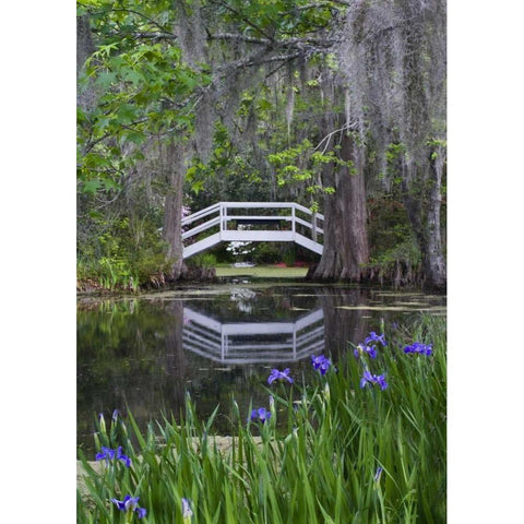 South Carolina, Wood footbridge reflects in pond Black Modern Wood Framed Art Print by Rotenberg, Nancy