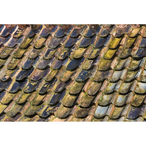 SC, Charleston Roof tiles on Plantation building Black Modern Wood Framed Art Print with Double Matting by Paulson, Don