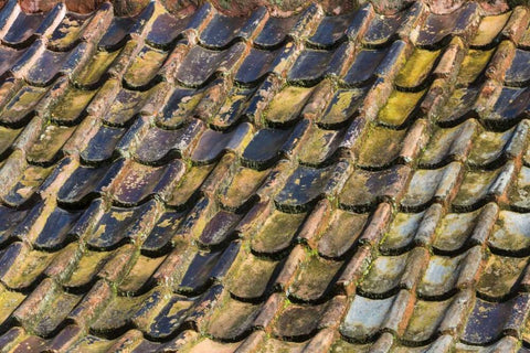 SC, Charleston Roof tiles on Plantation building Black Ornate Wood Framed Art Print with Double Matting by Paulson, Don