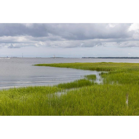 Usa-South Carolina-Charleston White Modern Wood Framed Art Print by Looney, Hollice