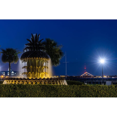 Usa-South Carolina-Charleston Gold Ornate Wood Framed Art Print with Double Matting by Looney, Hollice