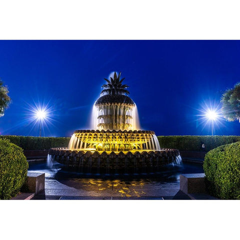 Usa-South Carolina-Charleston Black Modern Wood Framed Art Print with Double Matting by Looney, Hollice